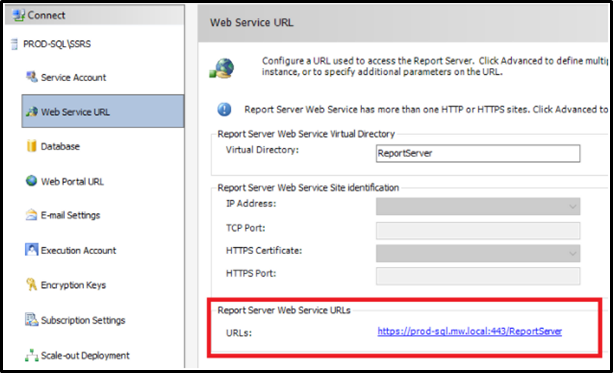 ms sql reporting services https