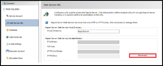 ms sql reporting services https